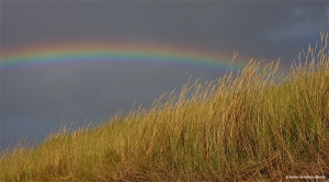 Arcoiris sobre dunas