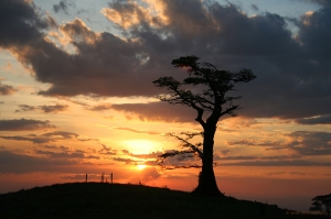 Puesta de sol en Turrialba