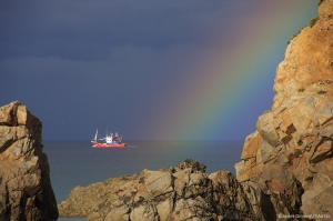 Pescando tormentas