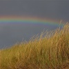 Arcoiris sobre dunas
