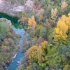 Bosque multicolor