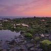 Piedras verdes