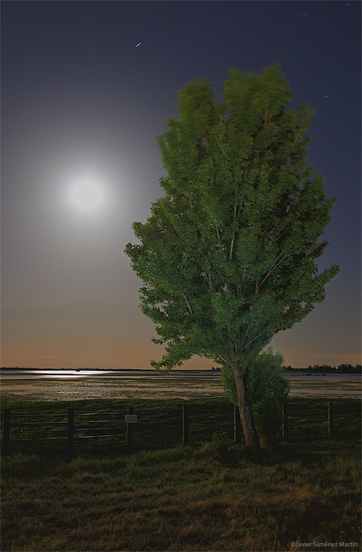 Luna llena en la marisma de Doñana Luna llena en la marisma de Doñana