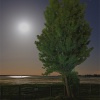 Luna llena en la marisma de Doñana