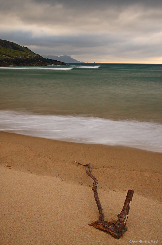 Mar y madera Mar y madera