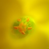 Amarillo
