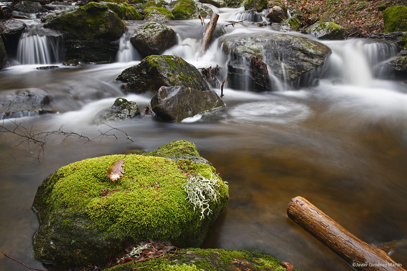 Arroyo de montaña