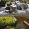 Arroyo de montaña