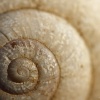 Espiral