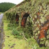 Acueducto botánico