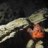 El guardian de caverna