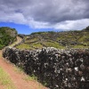 Camino hacia la luz