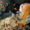 Misteriosas cuevas submarinas