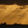 Atardecer gallego