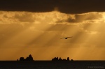 Atardecer gallego