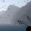 Vuelo contrastado
