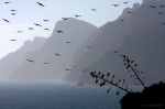 Vuelo contrastado