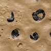 Atrapados en el barro