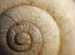 Espiral