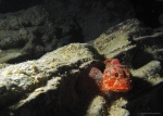 El guardian de caverna