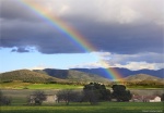 Campos de Murcia en primavera