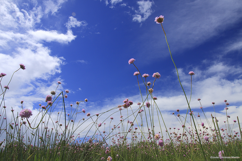 Buscando el cielo