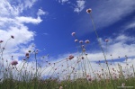 Buscando el cielo