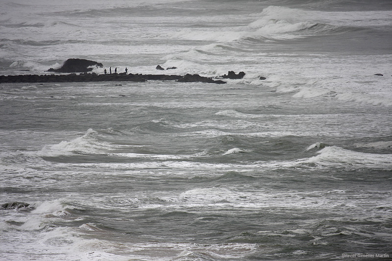 Inmersos en el mar