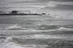 Inmersos en el mar