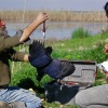 Trabajos de campo