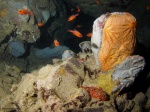 Misteriosas cuevas submarinas